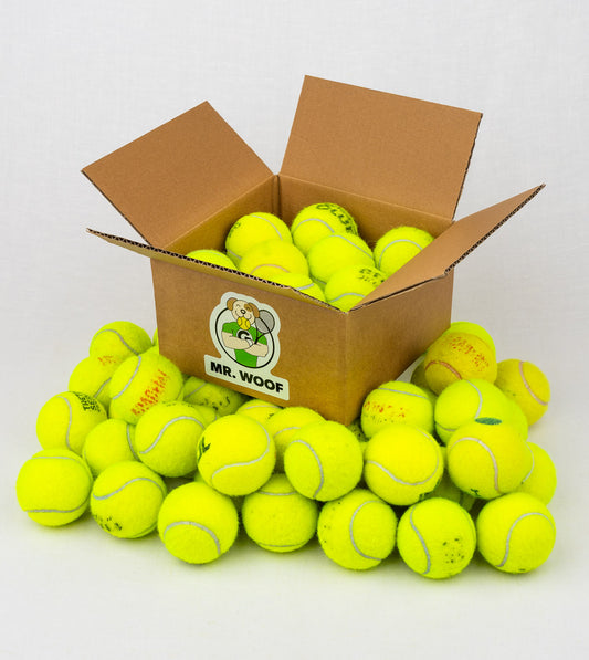 Gioco da riporto per cani: palline da tennis riutilizzate